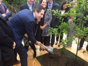 Bandon Hospital - Simon Harris Pic with tree